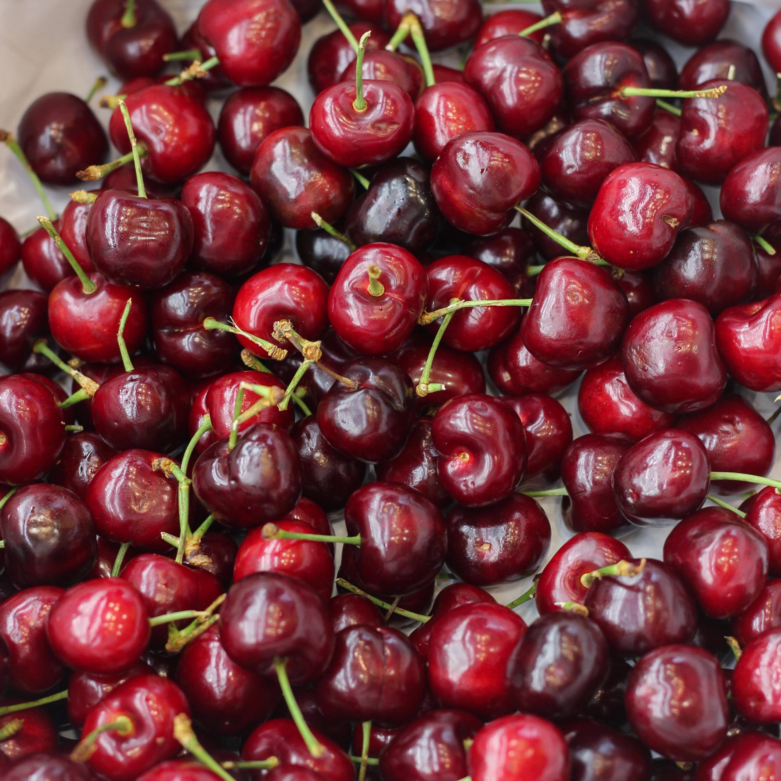 Cherry Đỏ New Zealand