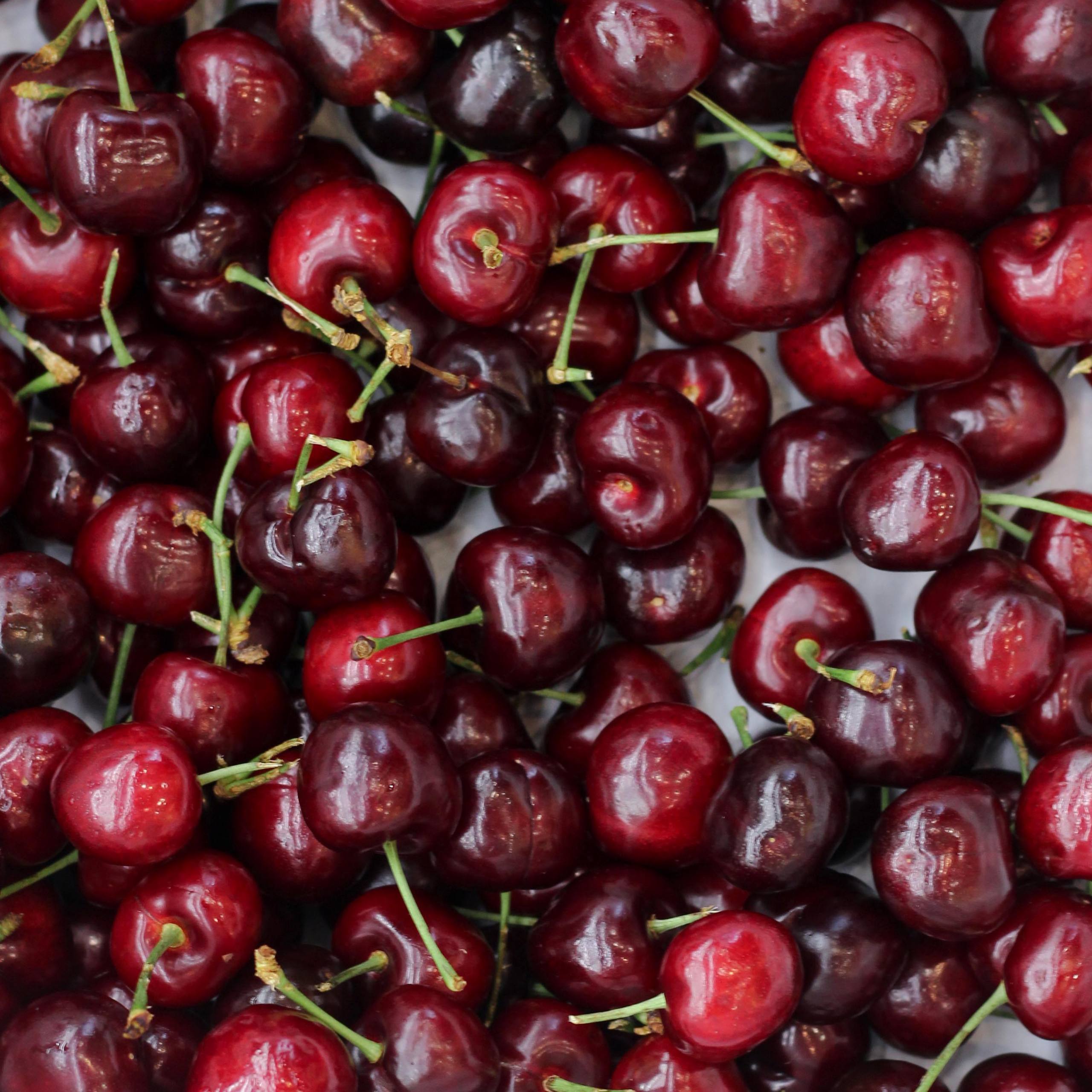 Cherry Đỏ Size 8 Mỹ
