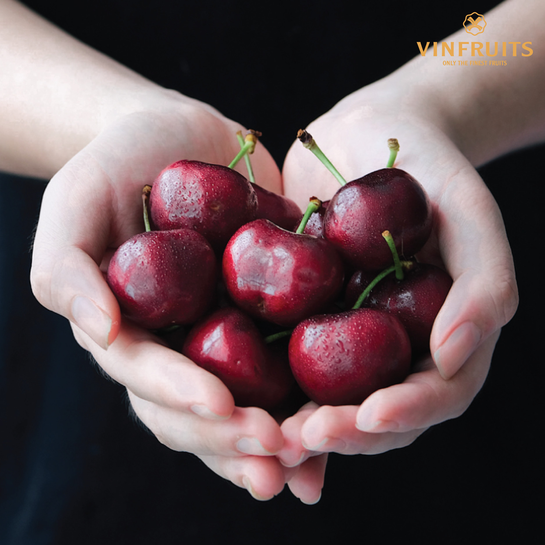 Cherry Đỏ Úc